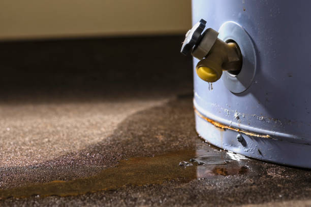 Best Commercial water damage restoration  in Richwood, TX