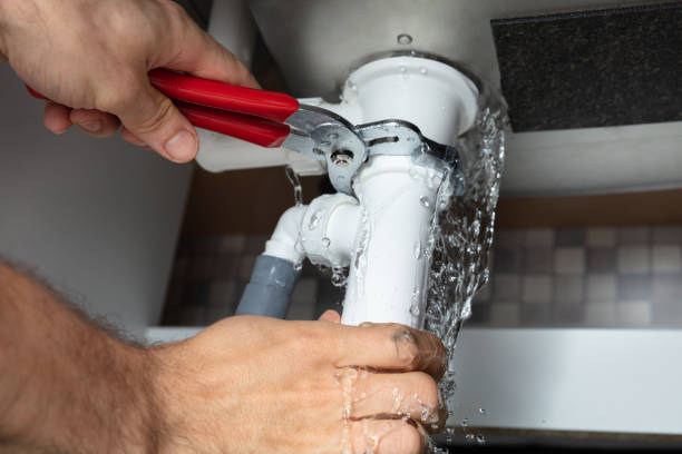 Best Flood damage cleanup  in Richwood, TX