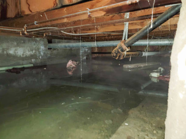 Best Water damage restoration near me  in Richwood, TX