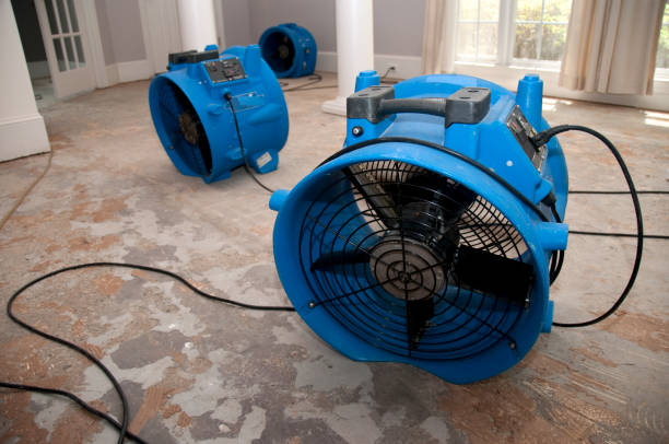  Richwood, TX Water damage restoration Pros