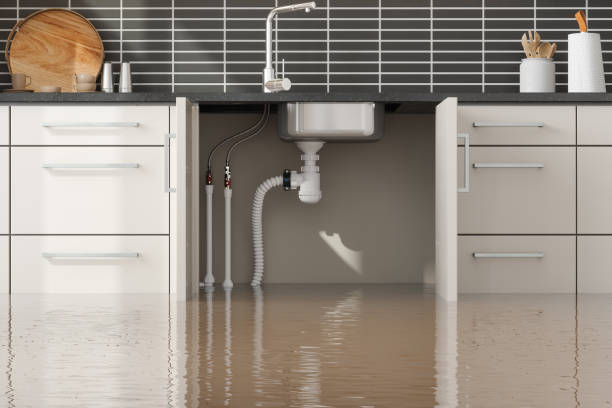 Best Ceiling water damage repair  in Richwood, TX