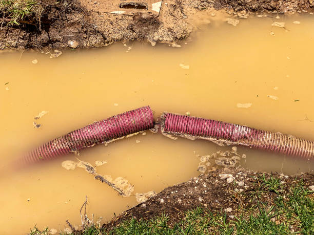 Best Commercial water damage restoration  in Richwood, TX