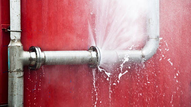 Best Local water damage restoration  in Richwood, TX